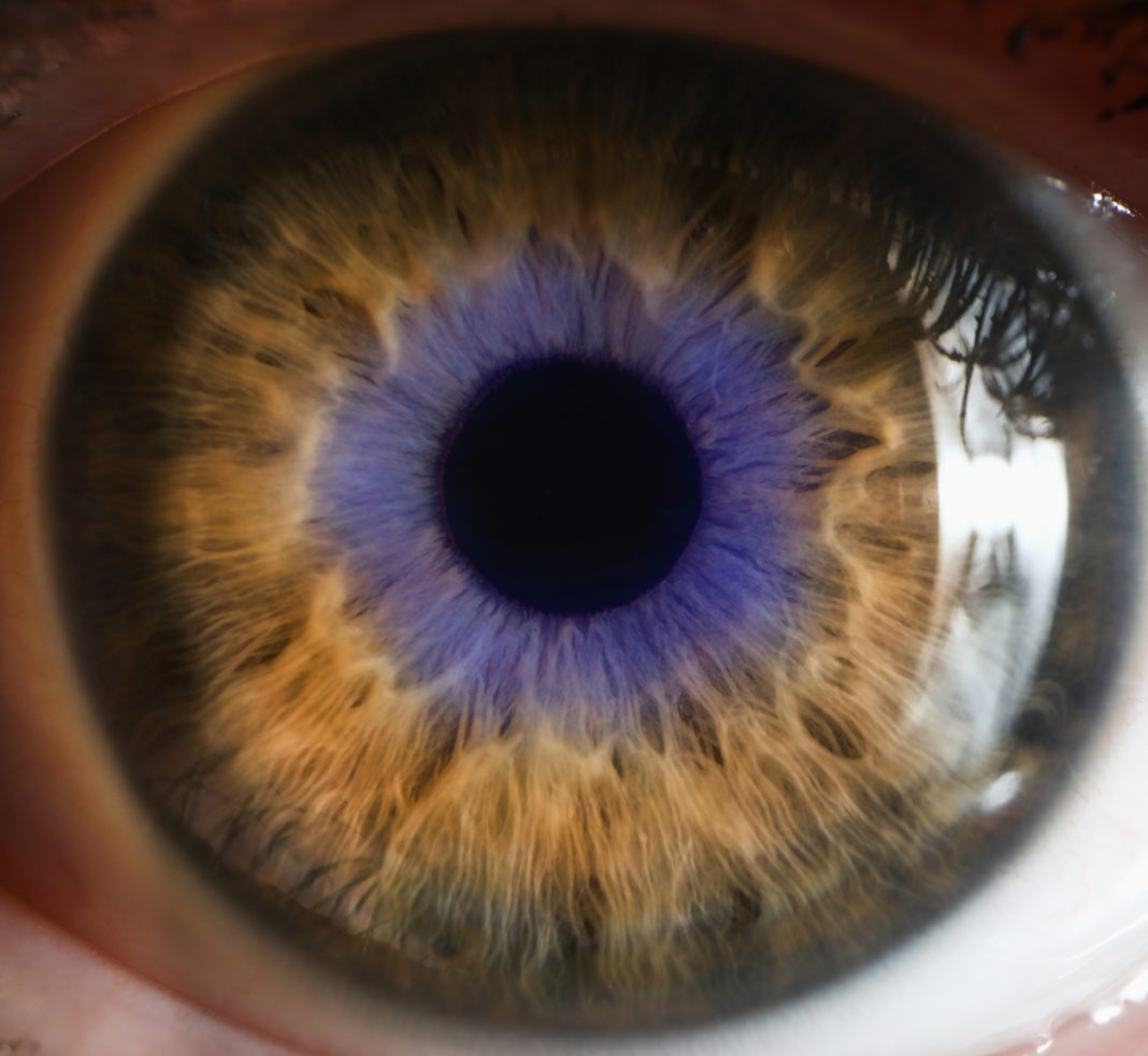 Shedding New Light on Dry Eye Relief: Dr. Benjamin Azman’s Innovative Approach